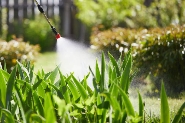 24/7 Emergency Mosquito Control experts in Bolingbrook, IL
