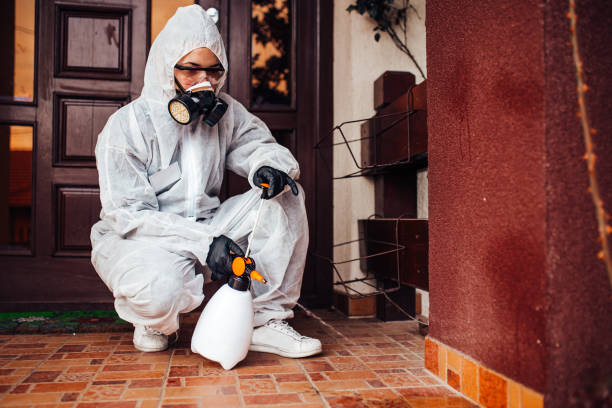 Reliable Mosquito Control contractor in Bolingbrook, IL by Show Me Pest Control